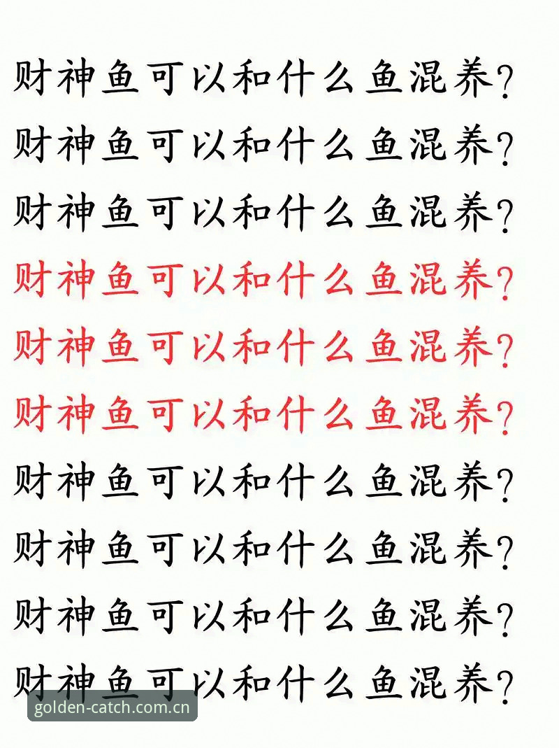 掌握财神捕鱼捕鱼技巧安卓版的五大实用秘诀
